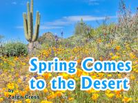 Spring_Comes_to_the_Desert